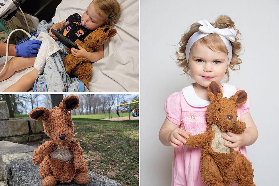 One Illinois Mom Is Desperately Searching For Her Daughter’s Beloved Stuffed Animal