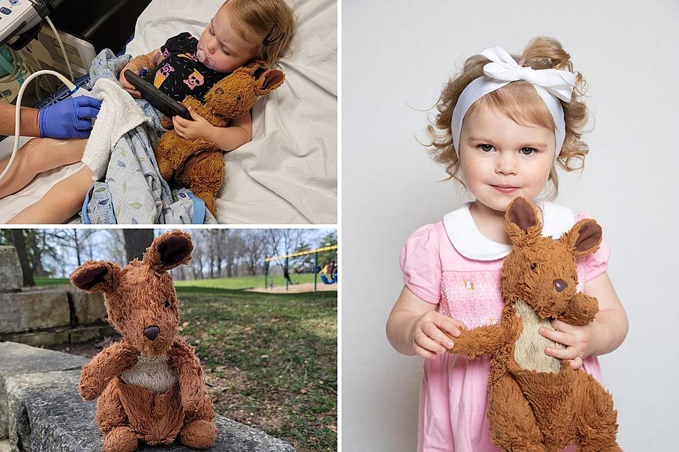 One Illinois Mom Is Desperately Searching For Her Daughter&#8217;s Beloved Stuffed Animal