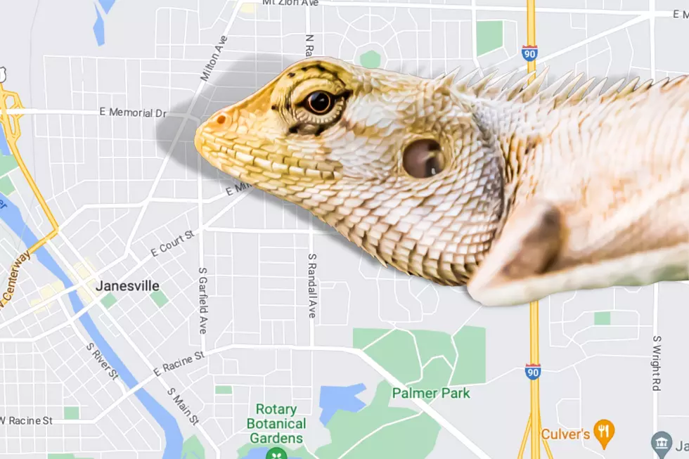 Google Maps, Canva
