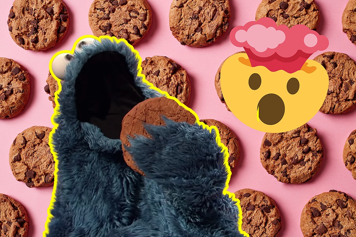 Quels types de cookies Cookie Monster mange-t-il ?