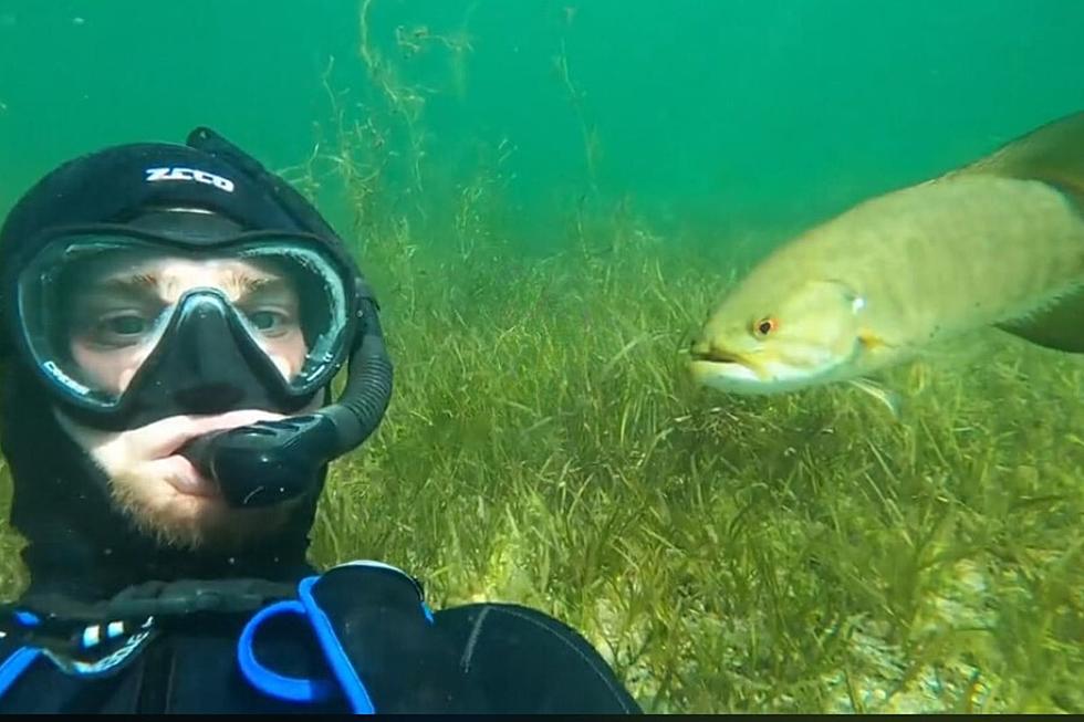WI Diver Becomes Best Friends With a Fish