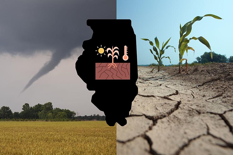 Natural Disaster Declared in Illinois. Here’s How Farmers Can Get Assistance.