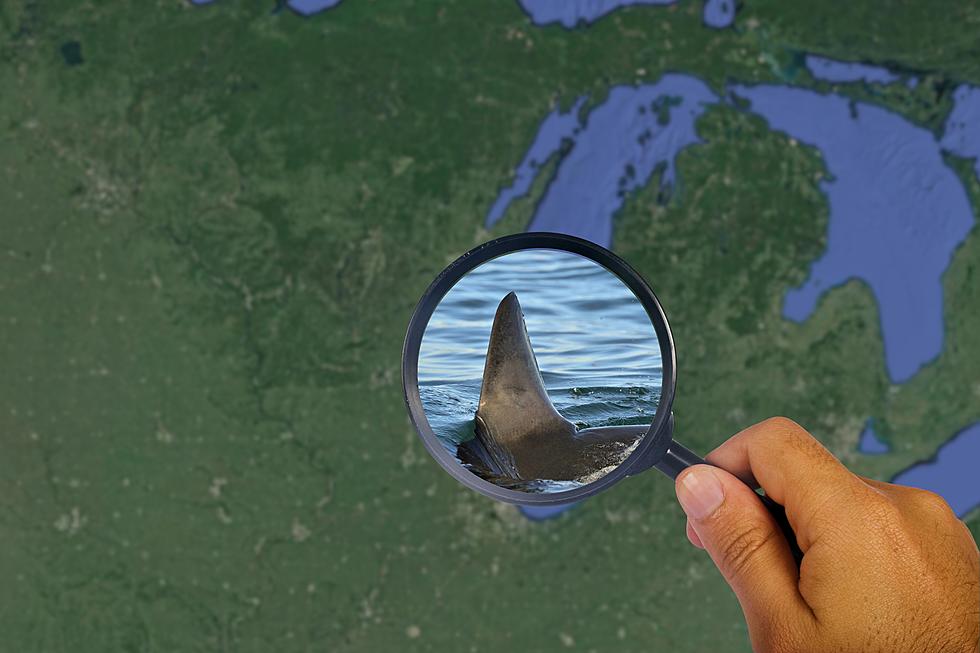 Are Man-Eating Creatures Lurking In Lake Michigan?