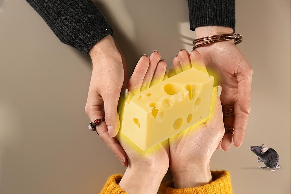 Illinois Woman’s Brie-lliant Fortune-Telling Will Amaze You