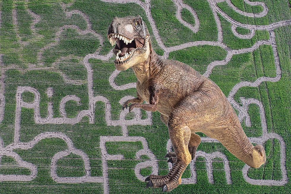 IL Fall Farm Favorite Reveals 'Jurassic Park' Corn Maze Design