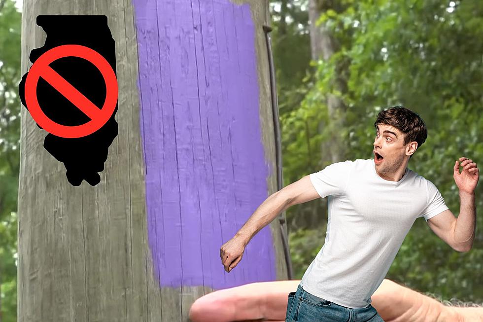 See Purple Paint on an Illinois Tree? Turn Around Immediately!