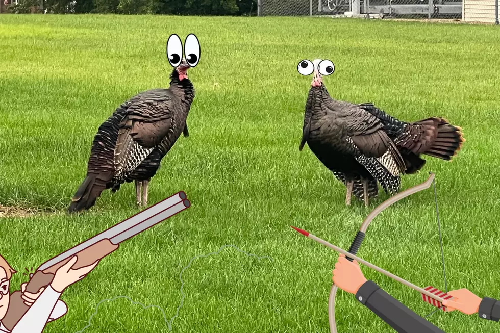 Can You Be Fined in Illinois For Shooting a Turkey In Your Backyard?