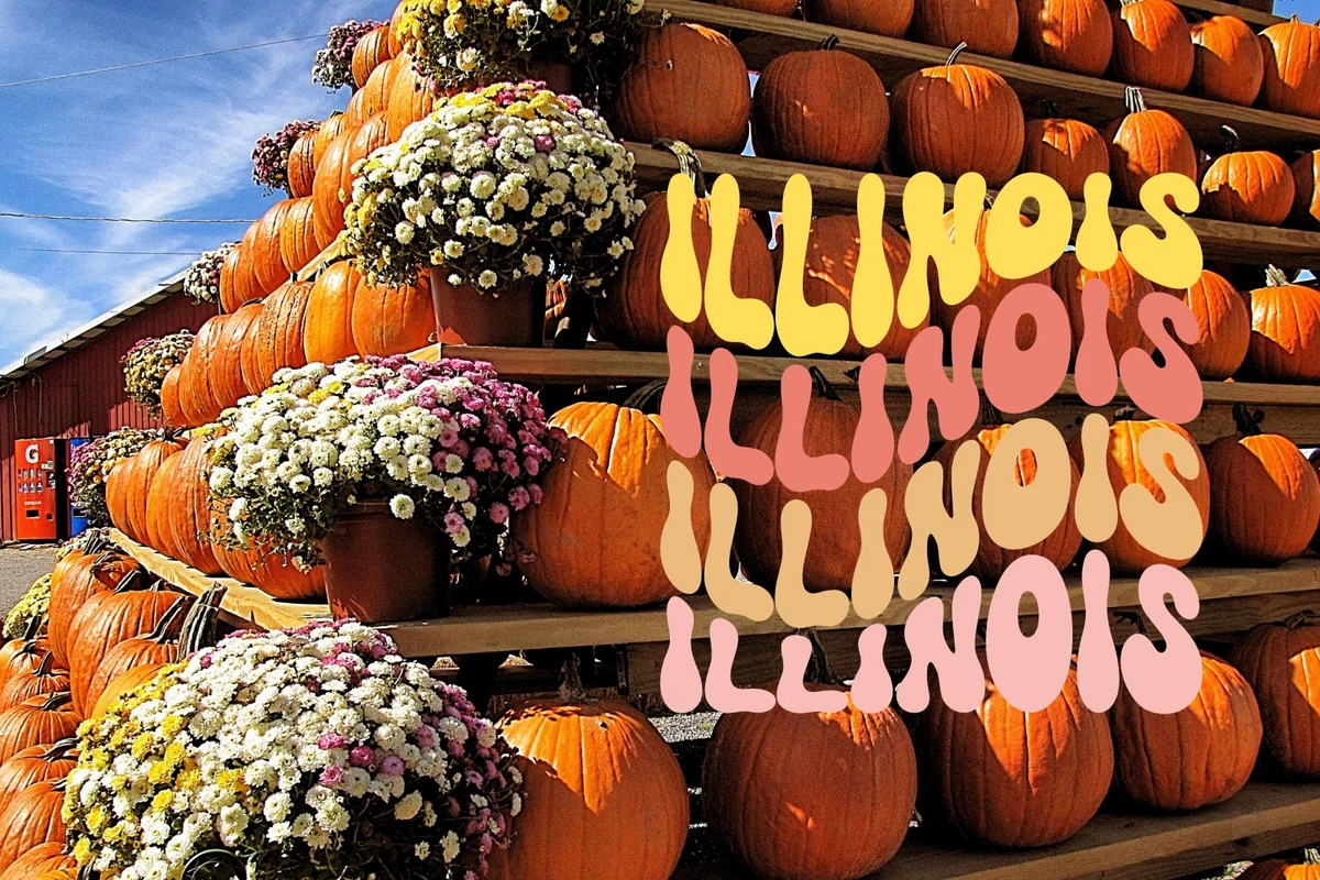 Best Fall Festivals In Illinois best-fall-festivals-in-illinois