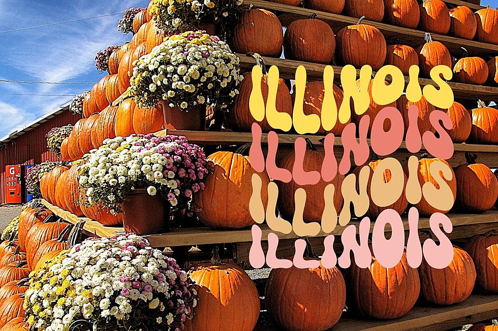 Upcoming Fall Festivals in Illinois