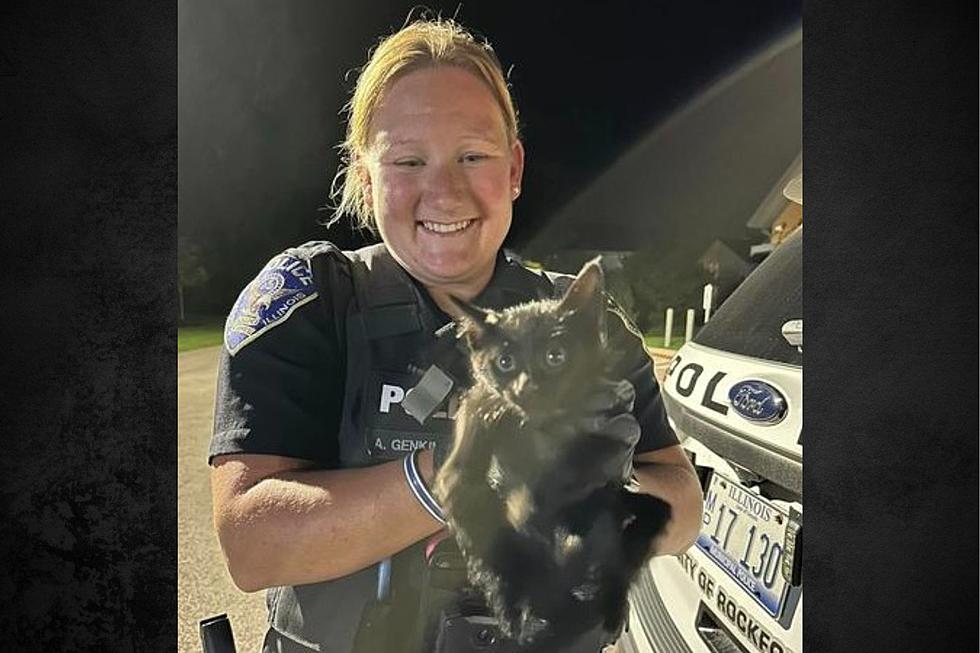 Rockford Police Save Kitten From Coyote