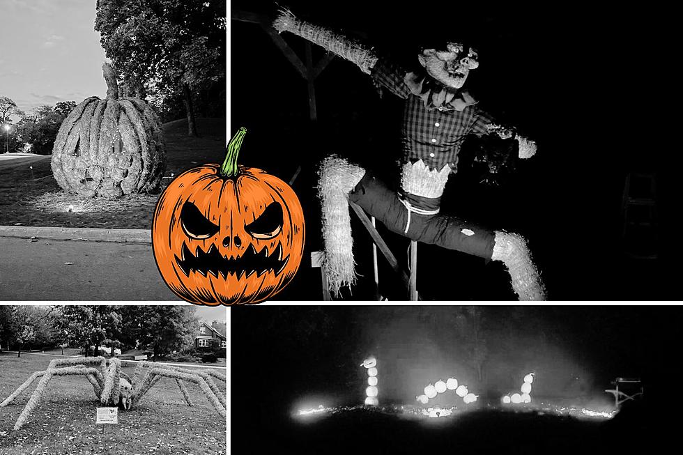 Festival of Frights is Gearing Up For a 5th Year of Scary Fun