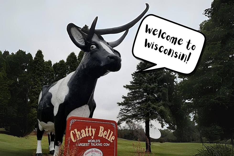 The World's Largest Talking Cow in Wisconsin