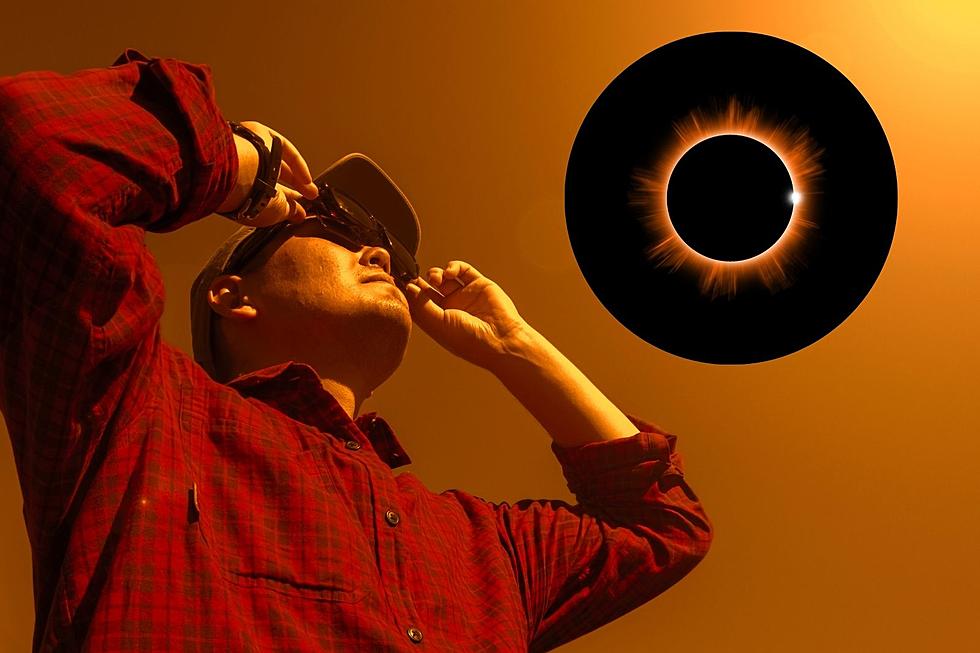 How To Make A DIY Projector For IL's Total Solar Eclipse