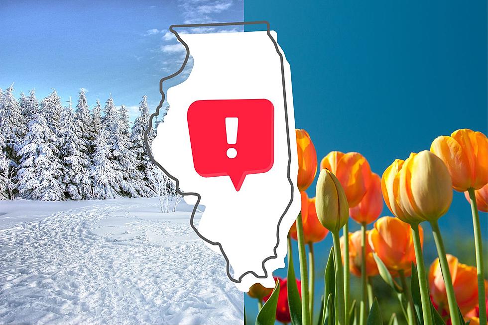 Forecast Predicting a Rare Spring Snowstorm for Illinois, Wisc