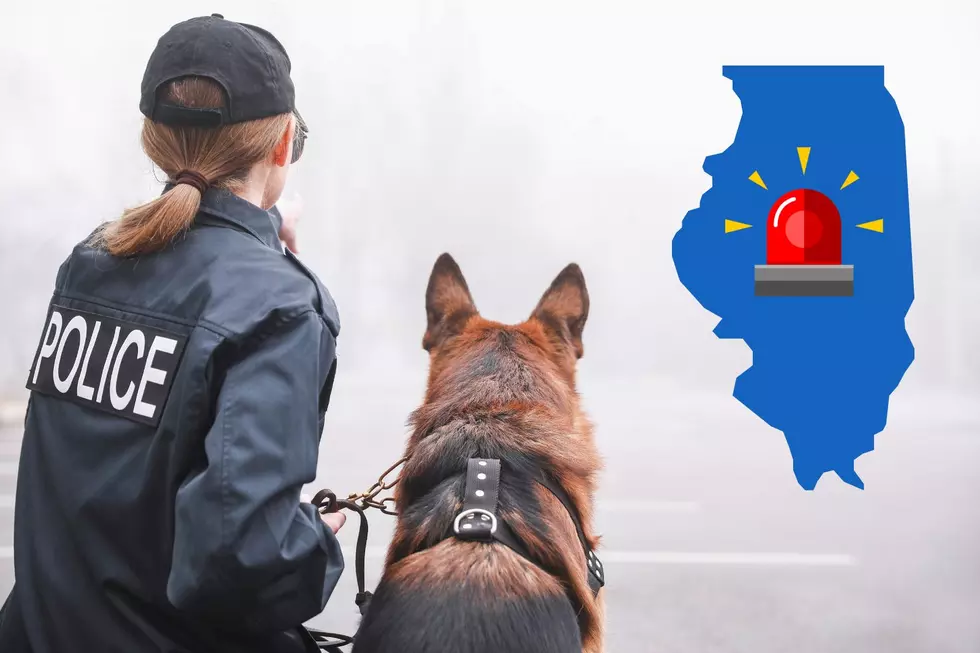 2 Illinois Teens Run From Police, One Caught and Bitten By K9