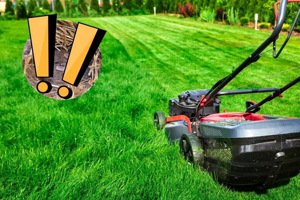 One Thing Every Illinois Homeowner Must Do Before Firing Up The Lawnmower This Spring