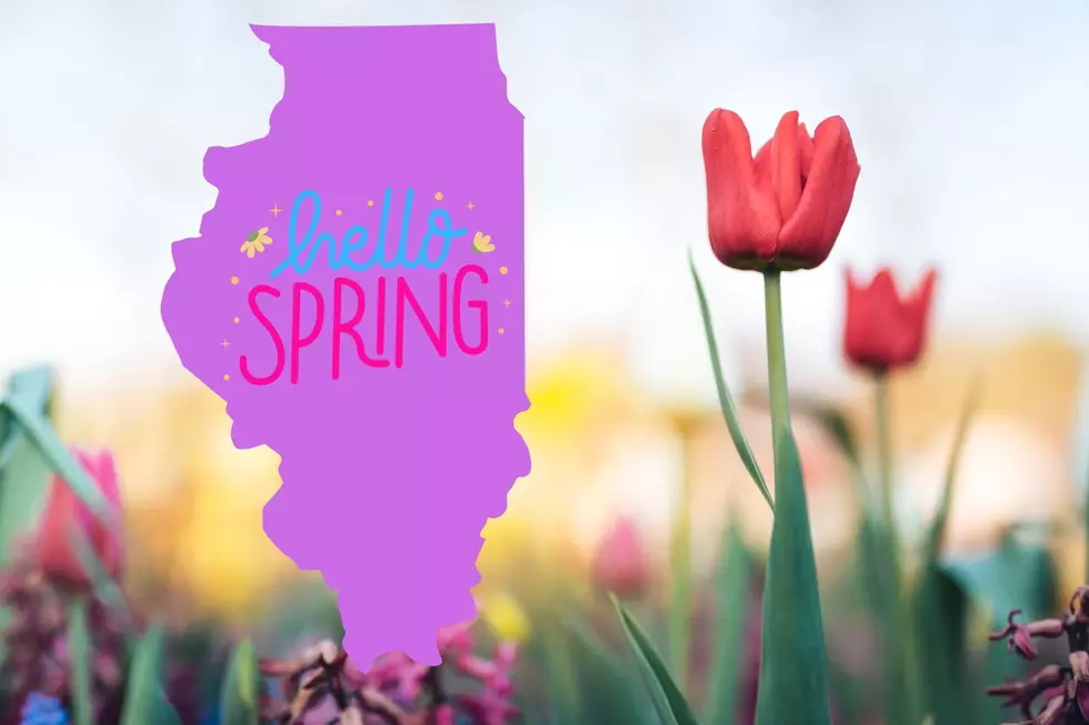 4 Reasons to Love (or Hate) Spring in Illinois