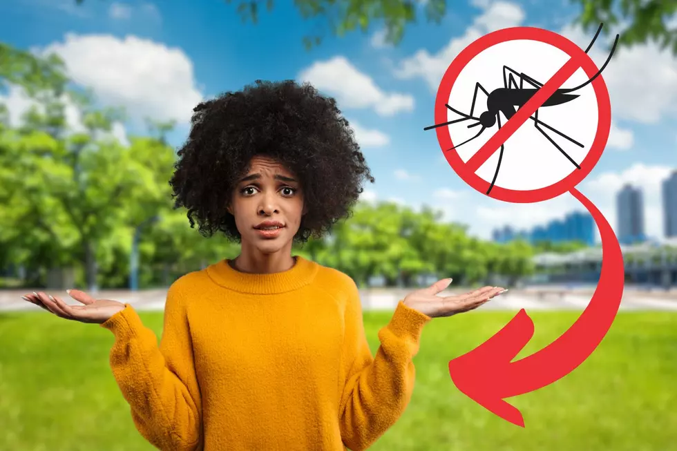 Avoid Wearing These 3 Colors in Illinois, Unless You Love Mosquito Bites