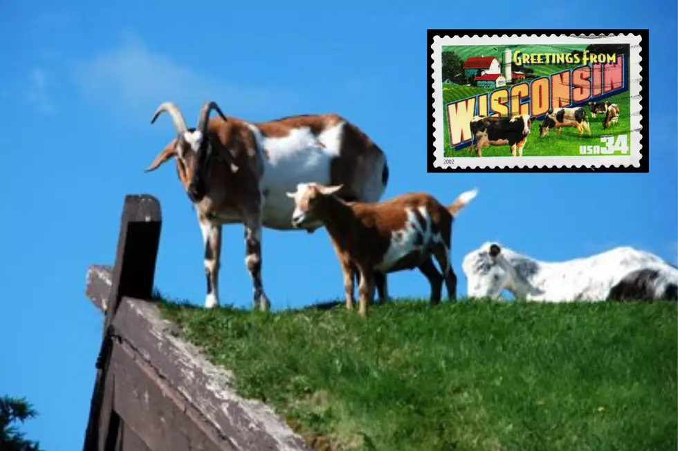 The True Story Of Door County, Wisconsin’s Famous Restaurant With Goats On The Roof