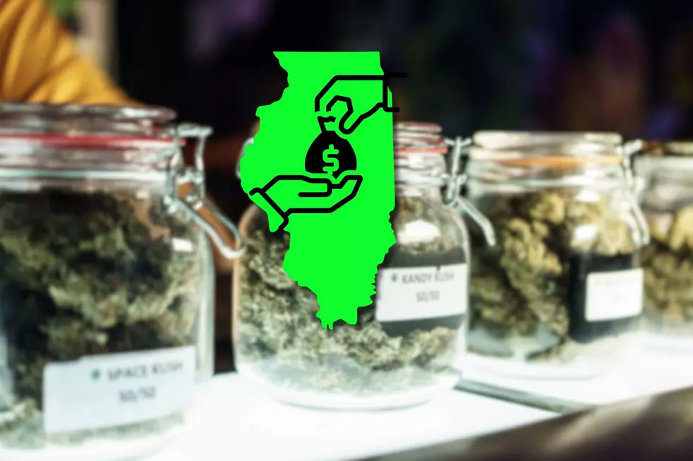 Rockford Launches 2024 REGROW Cannabis Grant Program