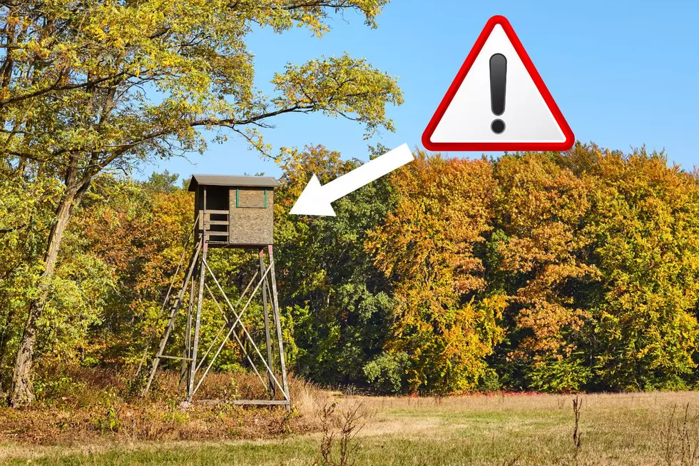 Warning for Illinois Hunters: This Tree Stand Could Kill You