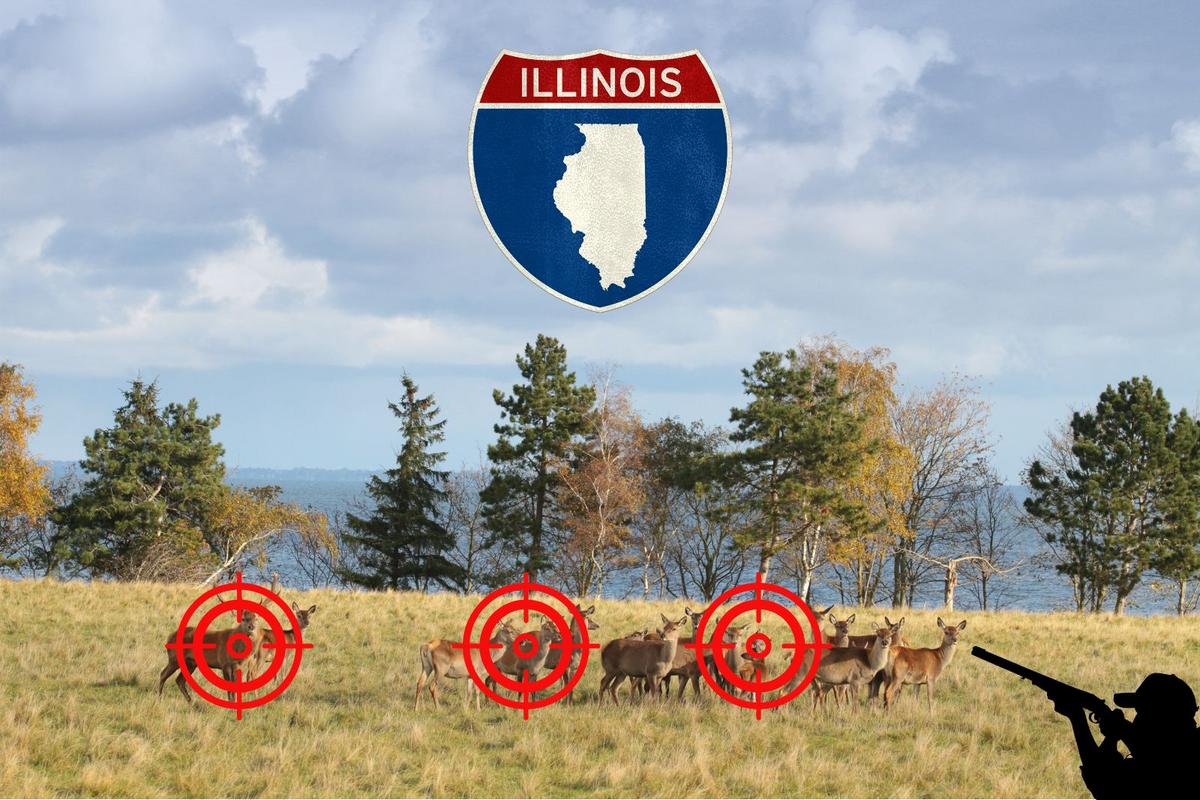 Illinois Hunters Harvest 170 758 Deer In Record 2024 2025 Season Illinois hunters harvest 170 758 deer in record 2024 2025 season