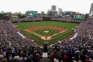 You Could Be in a Cubs Game Photo Without Knowing It