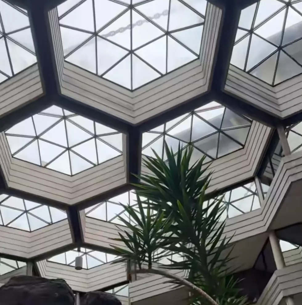 Police Crack Down on Viral Urban Exploring Trend at Illinois Hotel