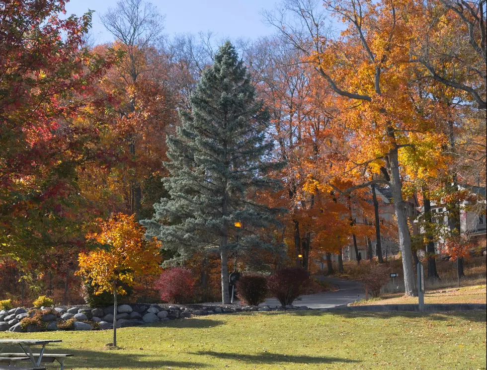 This Wisconsin Town Was Just Named One of the Prettiest in America