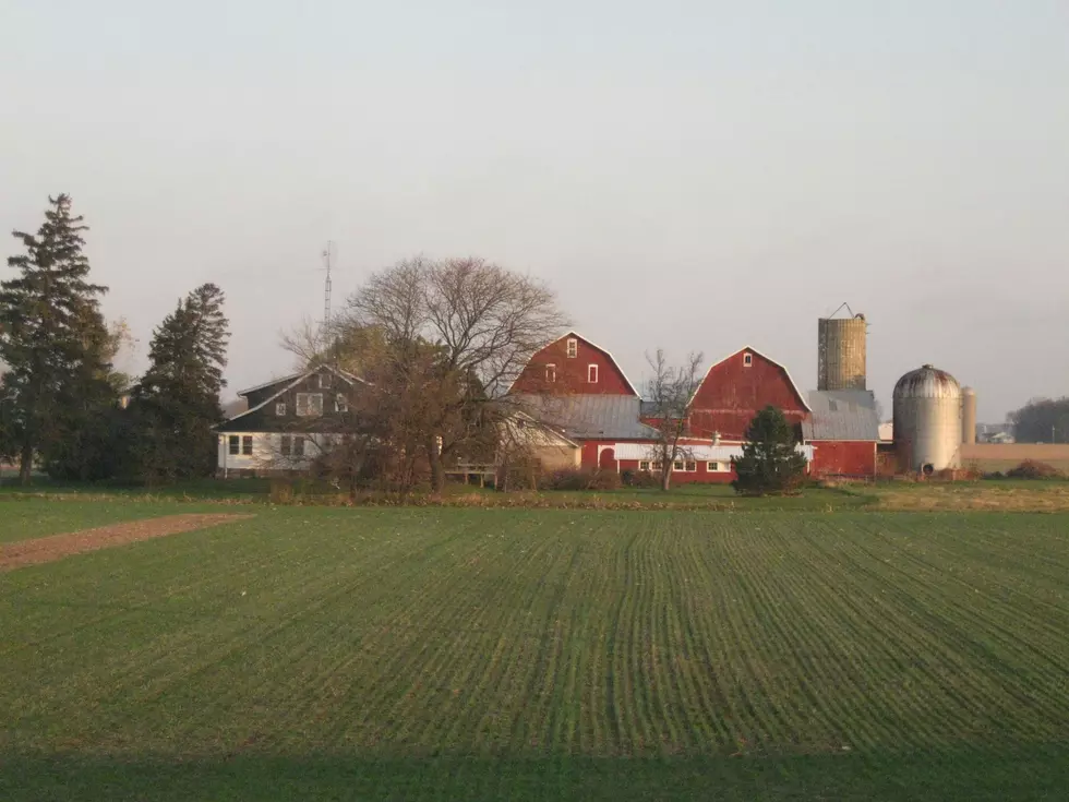 Here’s How These Illinois Kids Turned Ag Photos Into College Money