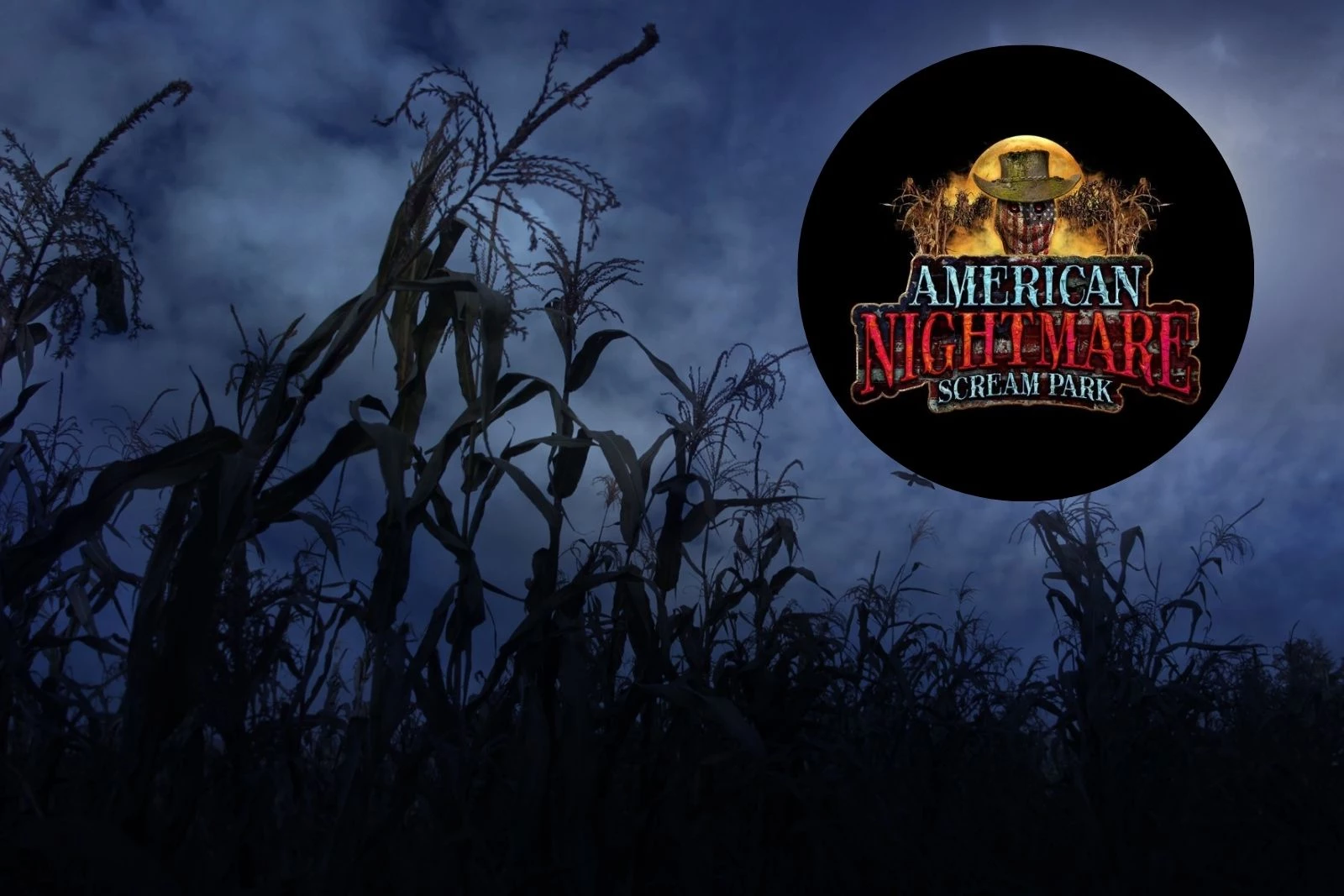 洋楽 AMERICAN NIGHTMARE Mosh Camp 7 panic sxe Give Up The Ghost 'American Nightmare' #B9R007 — Bridge Nine Records