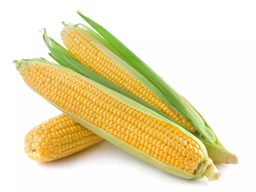 Why So Many Northern Illinois Sweet Corn Stands Are Missing This Summer