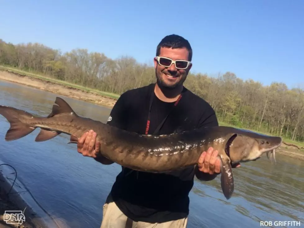 Iowa Man Nets Rare Fish