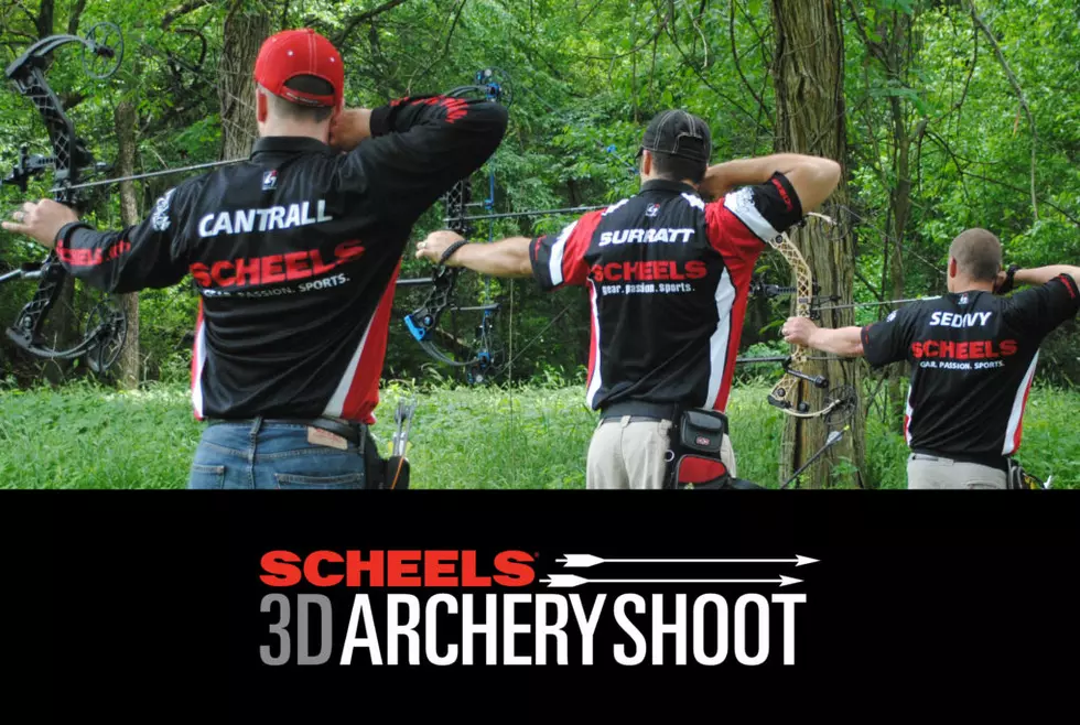 Scheels 3D Archery Shoot