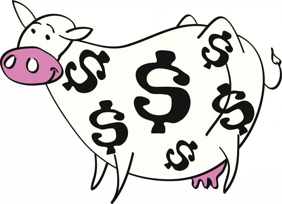 The Q92.3 Cash Cow Is Coming This Monday!