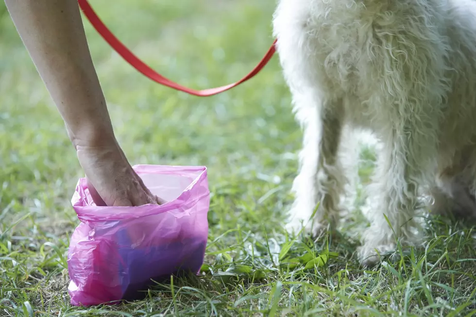 Woman Blames Husband&#8217;s Death On Dog Poop