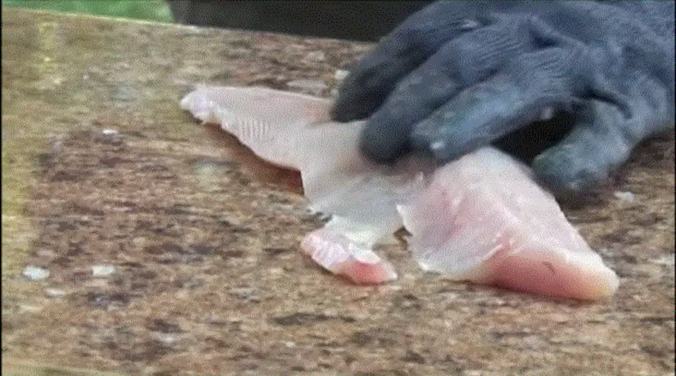 How To Clean Fish