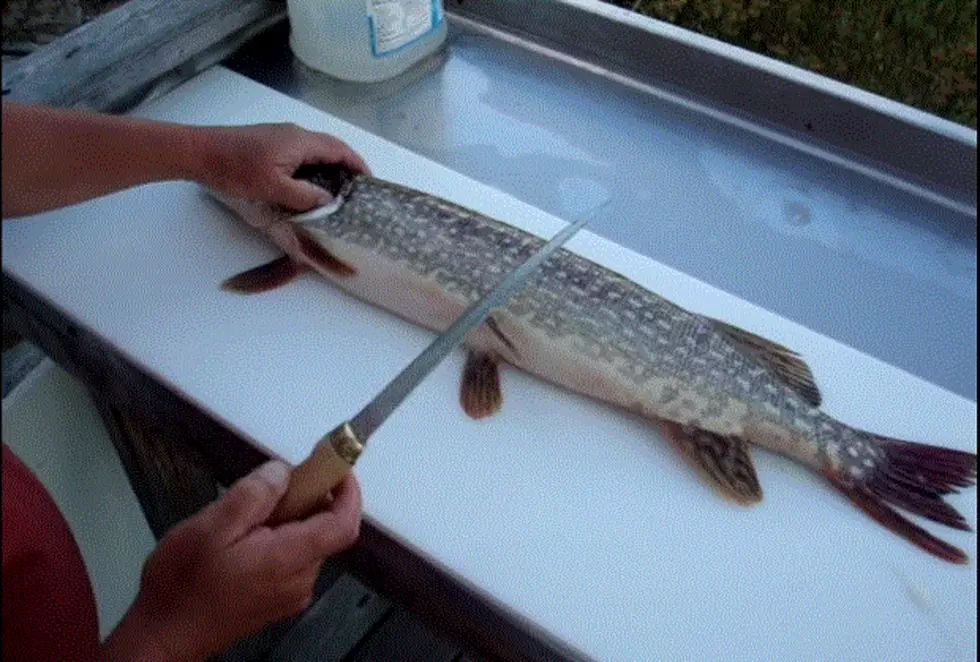 Best Way To Remove Y Bone From Northern Pike
