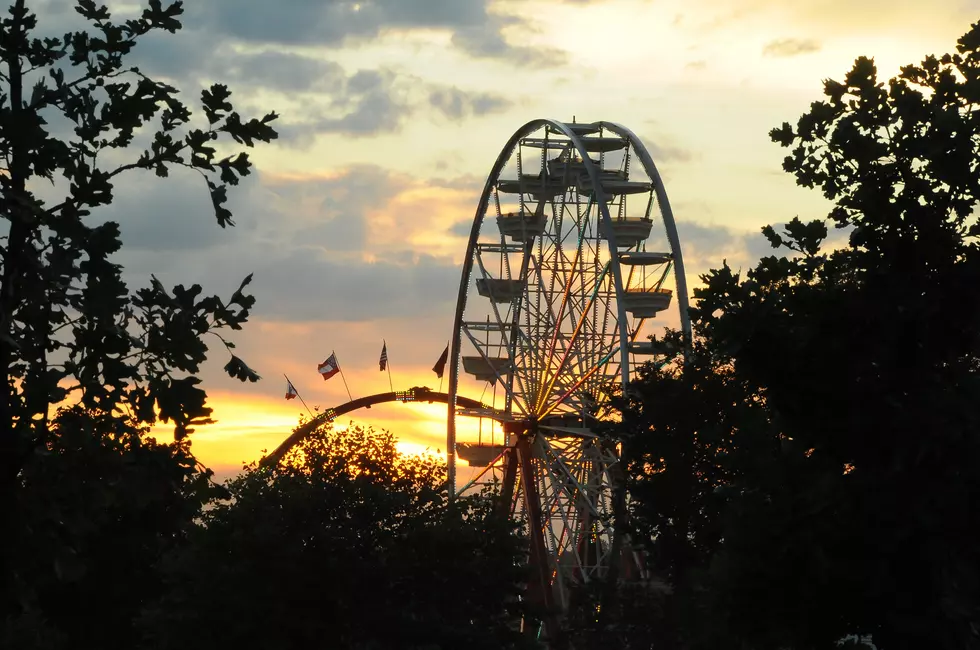 Iowa State Fair Seeks New Leader to Uphold Its Timeless Traditions