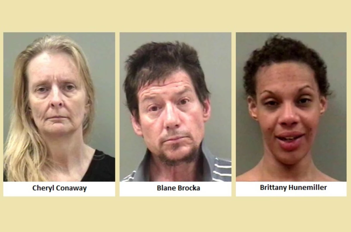 Three Arrested On Drug Charges In Bremer County
