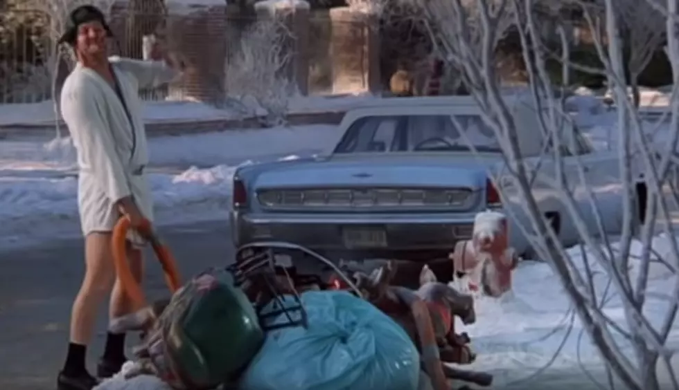 Another Display Pays Tribute to  &#8220;Christmas Vacation&#8221; Movie