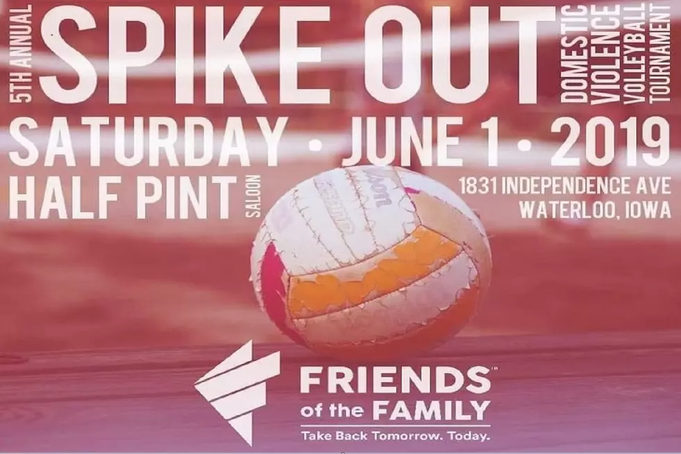 Volleyball Tournament Benefiting Friends Of The Family &#8211; June 1st