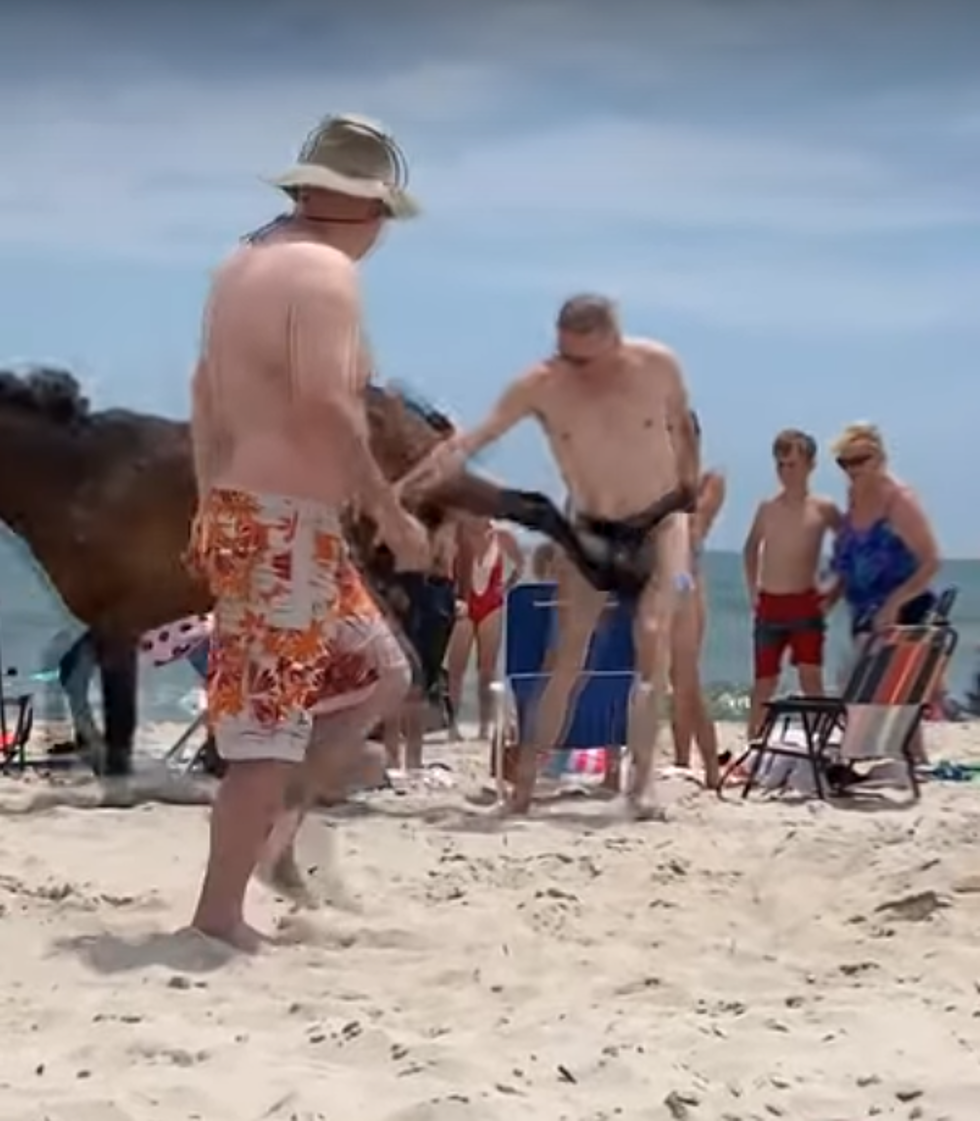 Man in Speedo Gets Kicked in the Junk by a Pony