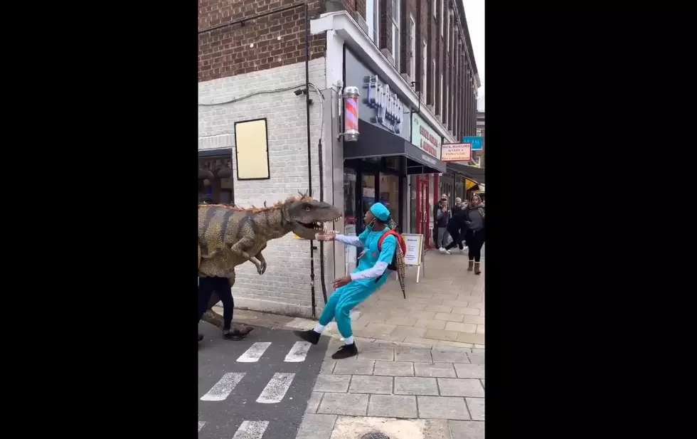 Suddenly, a T-Rex [VIDEO]
