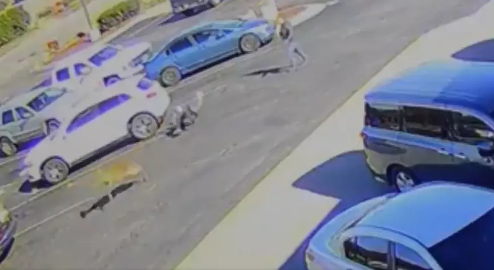 Man Gets Drop-Kicked By Deer in Parking Lot (video)