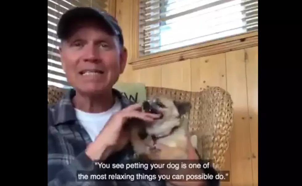 Petting Your Dog is Relaxing…or Is It? (video)