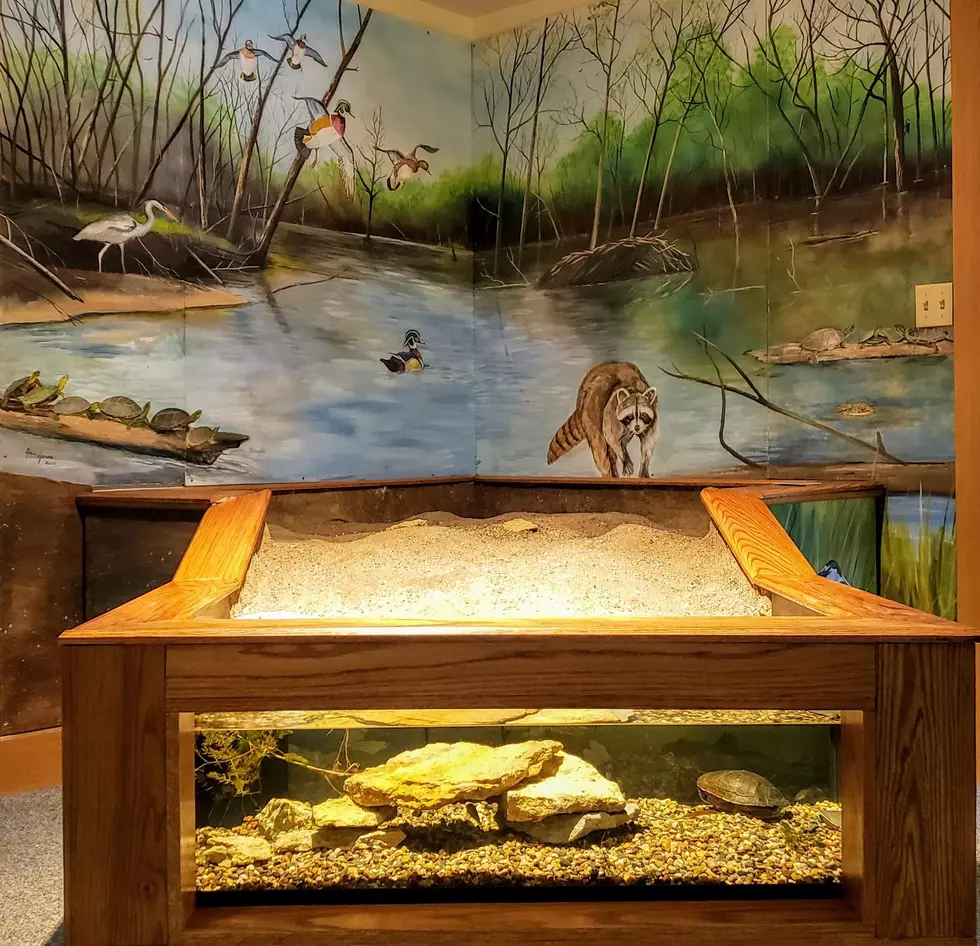 New Attractions at Fontana Interpretive Nature Center – Hazleton