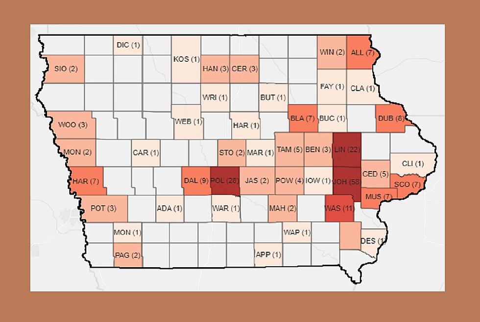 COVID-19: Two New Deaths In Iowa; Positive Cases Rise To 234