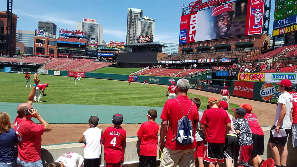 Who's Ready For Some Baseball?- Yes Please - One Fan's Opinion