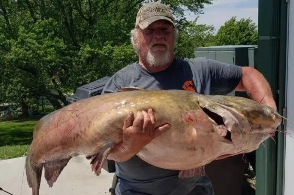 Man Crushes Nebraska State Record with 89-pound Flathead Catfish
